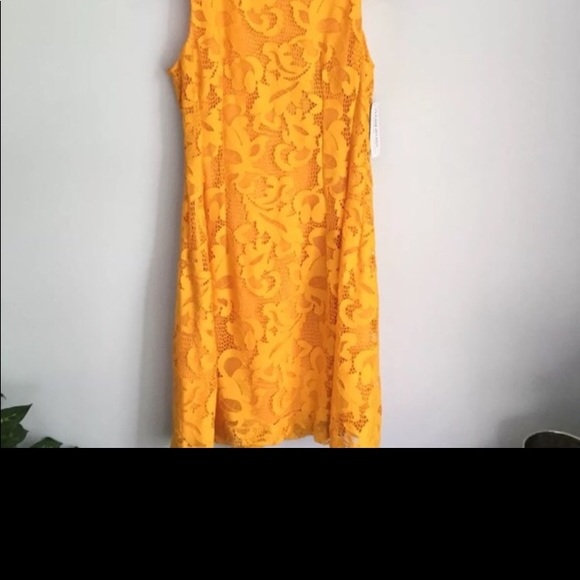 Mustard yellow lace dress - Picture 2 of 3